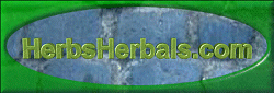 Herbs Herbals Logo