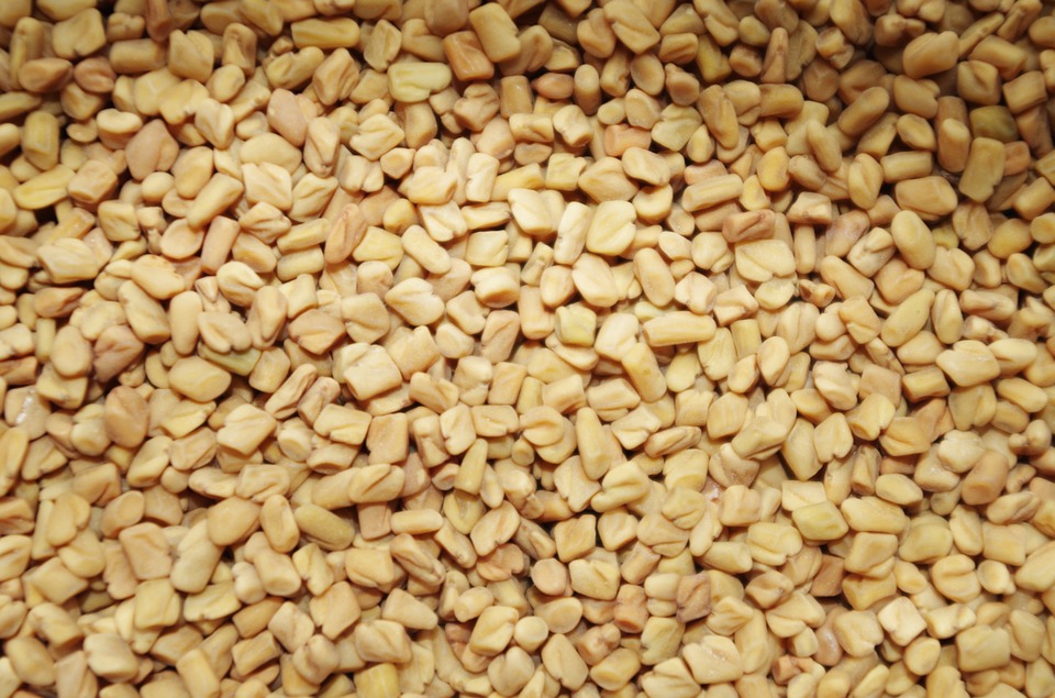 Fenugreek Herb